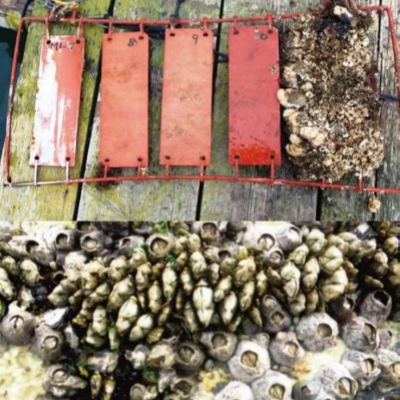 Zinc Acrylate Self-Polishing Resin for marine anti-fouling coatings